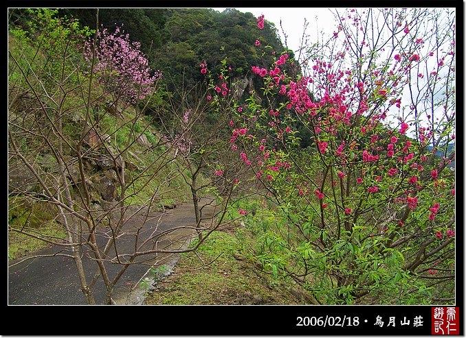 烏月山莊的花徑