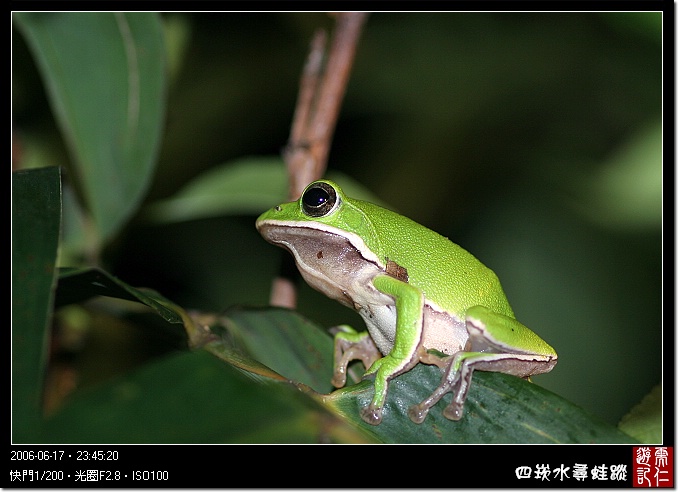Image Image