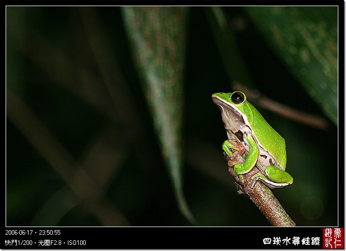 Image Image