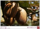 2006繽紛大露營 in 尤外