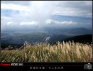 大屯南峰賞秋芒