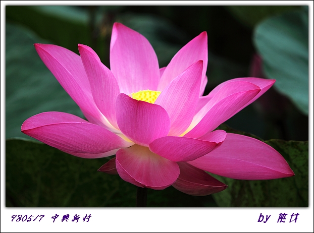 圖檔
